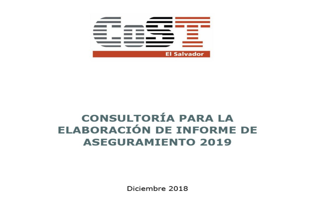 Consultoría para la elaboración del Tercer Informe de Aseguramiento 2019