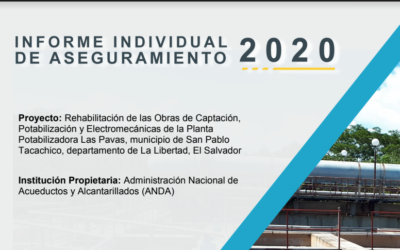 Informe individual ANDA 2020