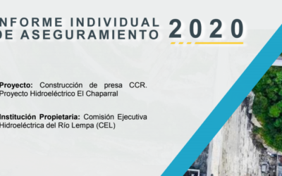 Informe individual CEL 2020