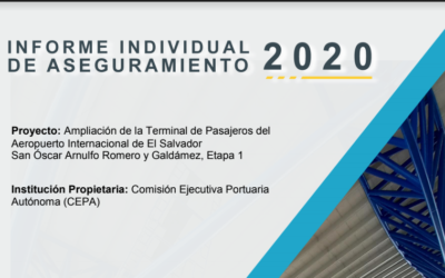 Informe individual CEPA 2020