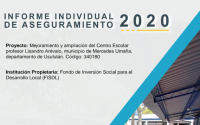 Informe individual FISDL 2020