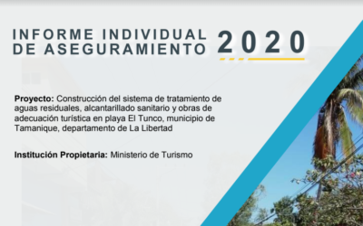 Informe individual MITUR 2020