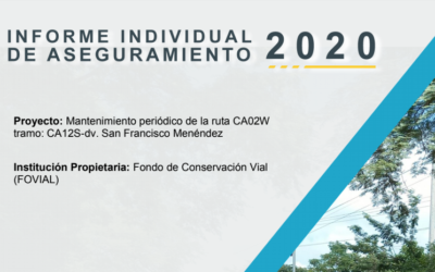 Informe individual FOVIAL 2020