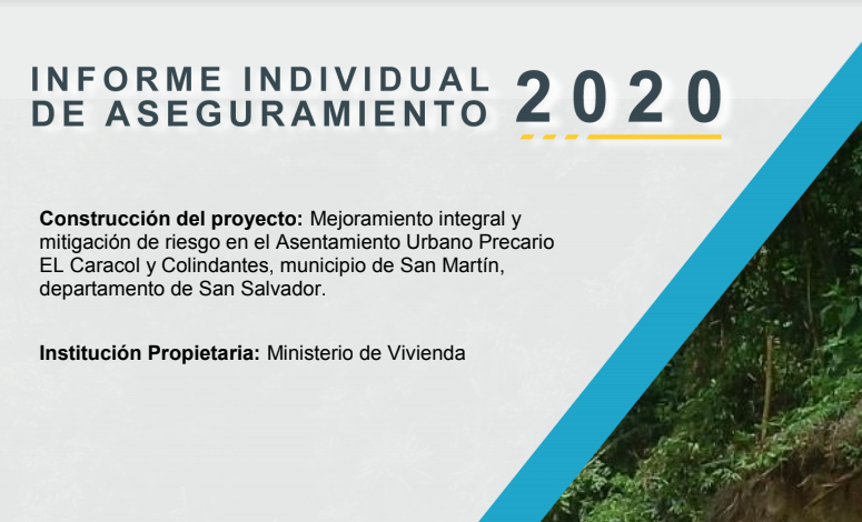 Informe individual Ministerio de Vivienda 2020